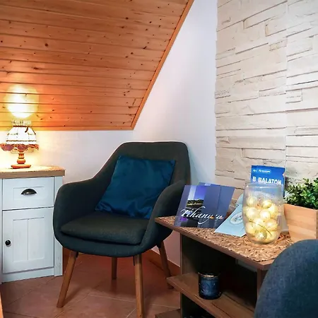 Konukevi Zoltan Borhaza 3*