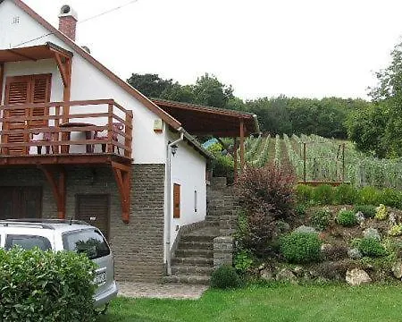 Guest house Zoltan Borhaza