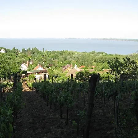 Gasthof Zoltan Borhaza Tihany