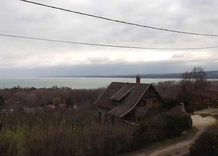 Zoltan Borhaza Konukevi 3*