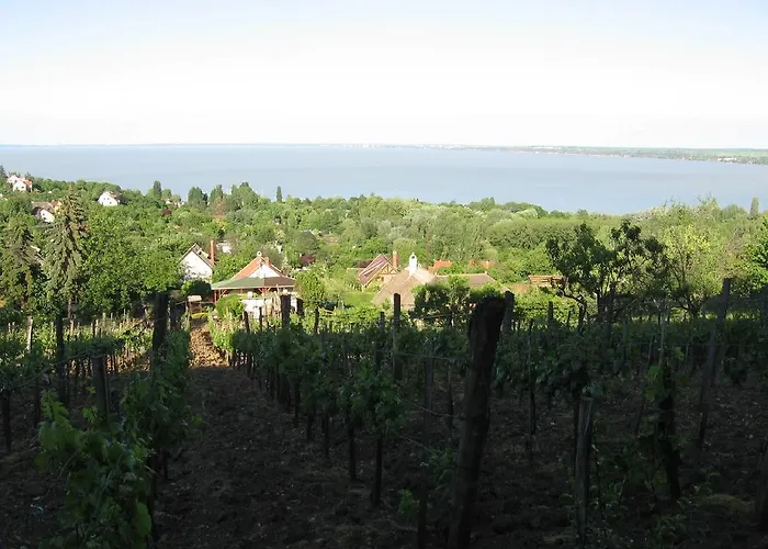 Konukevi Zoltan Borhaza Tihany